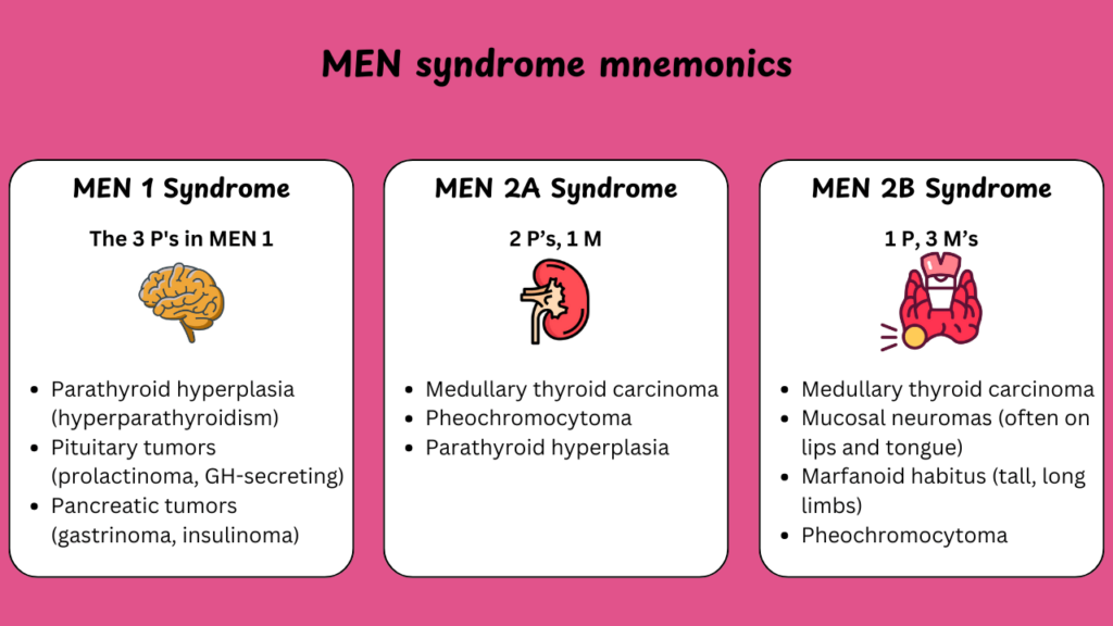 men syndrome mnemonics