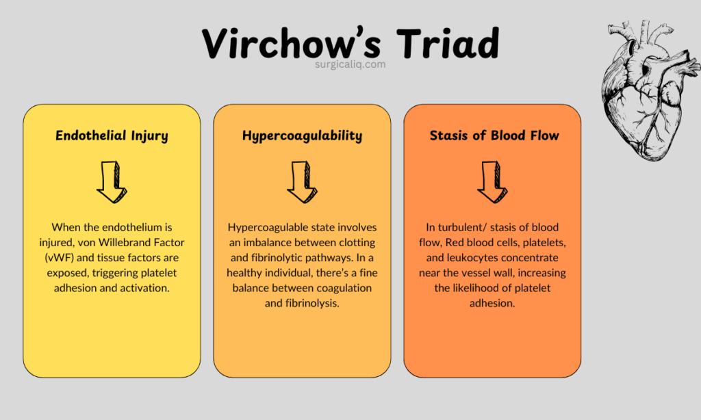 virchows triad