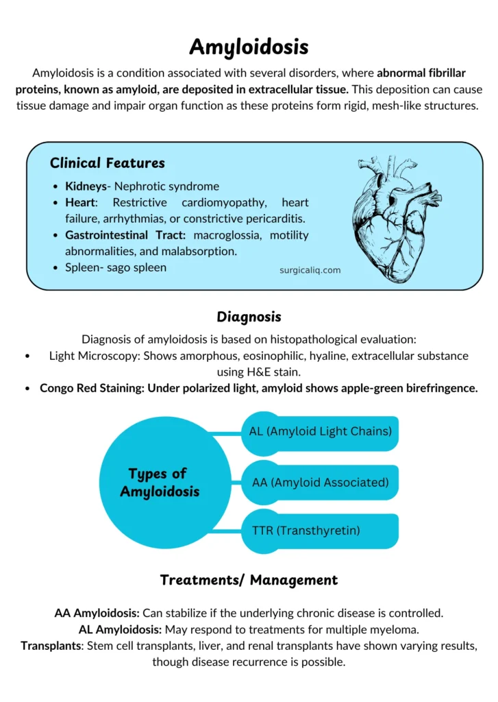 amyloidosis definition, causes, amyloidosis types and treatment of amyloidosis